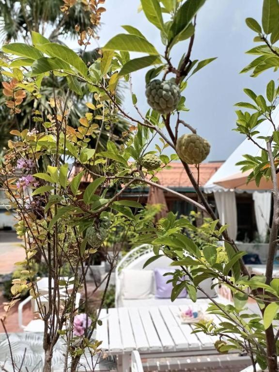 Palm Sweet Hotel Prachuap Khiri Khan Buitenkant foto